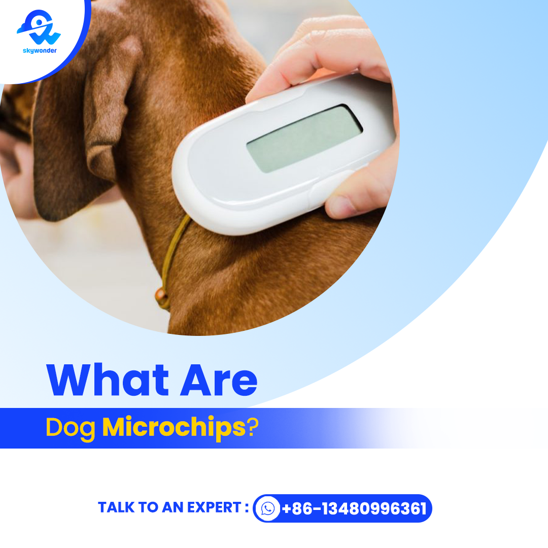 What are Dog Microchips? What are Dog Microchips?